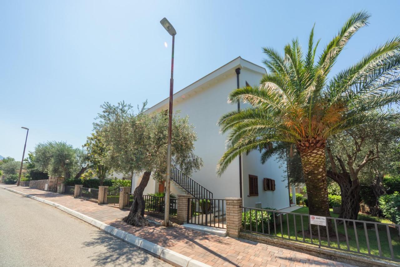 Markokop Petrovac Exteriör bild